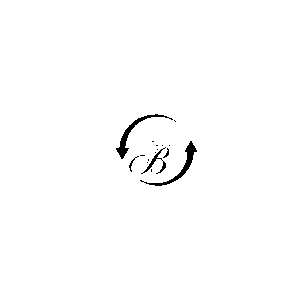 Boostifies logo: A bold 'B' surrounded by a circular arrow, representing growth and progress in social media and affiliate marketing.