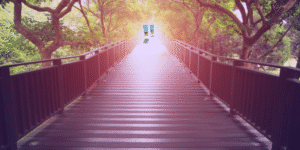 My journey to financial freedom through affiliate marketing and social media